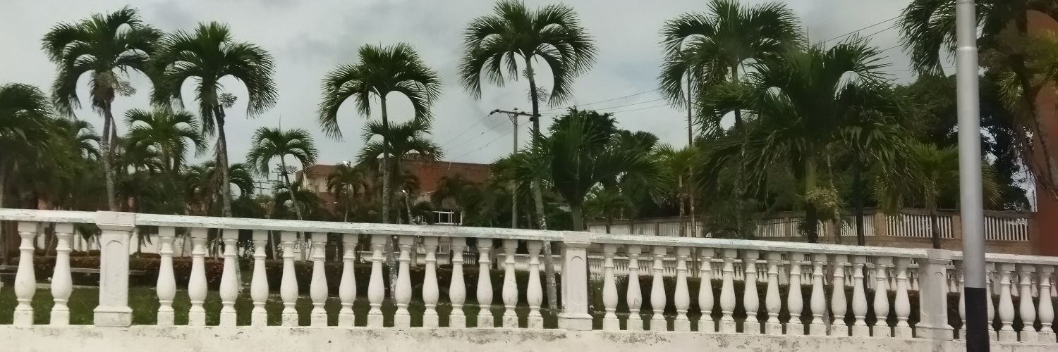 Moises Molina banner