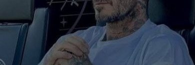TansleyAlb211's profile banner image