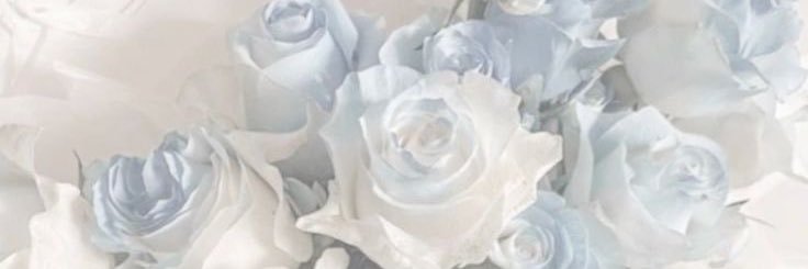 Maria🍉🥀's banner