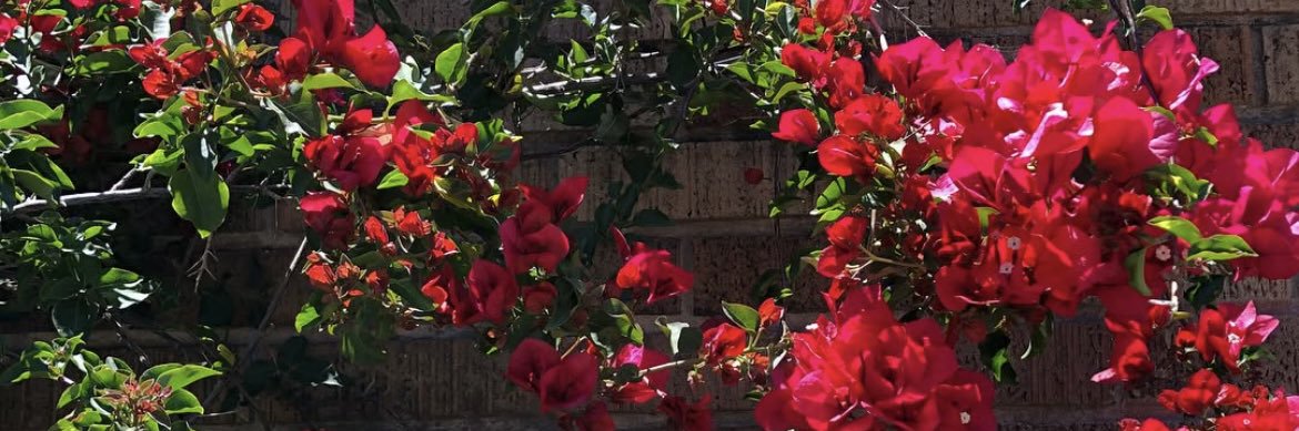 𝒽𝑜𝓅𝑒 banner