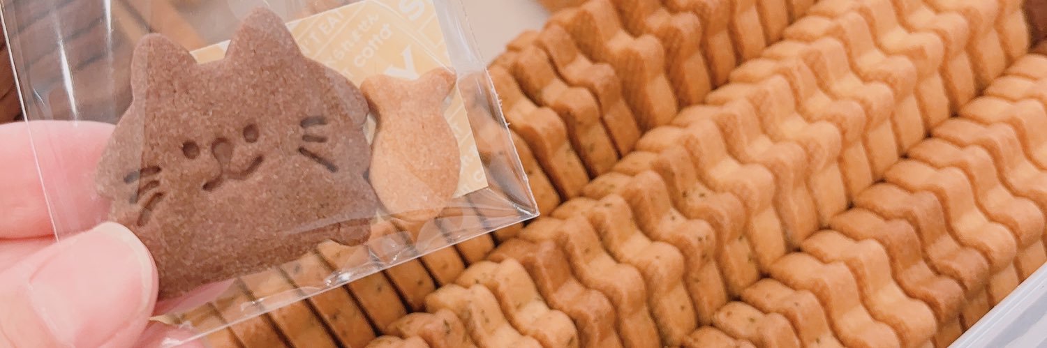 ちゃわこ🐈🐾 banner