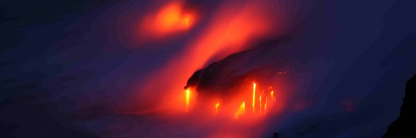 AdysonSchner163 Profile Banner