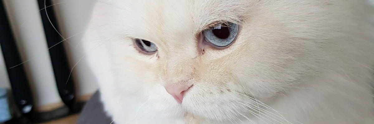 M_Akkaya_'s profile banner image