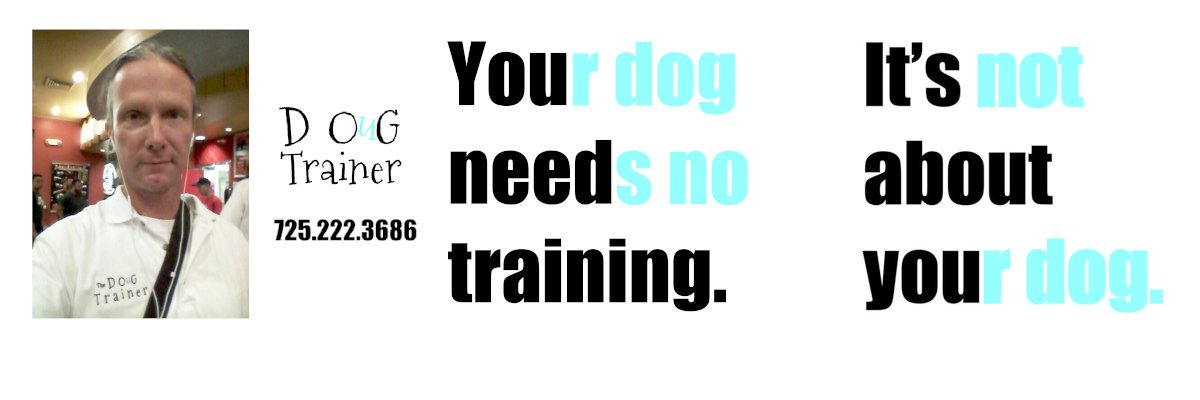 TheDOuGTrainer's profile banner image