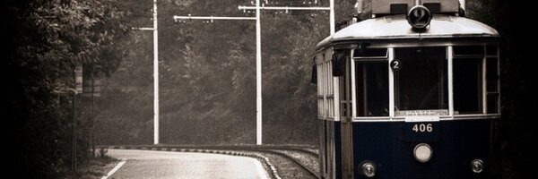 LupiMatteo Profile Banner