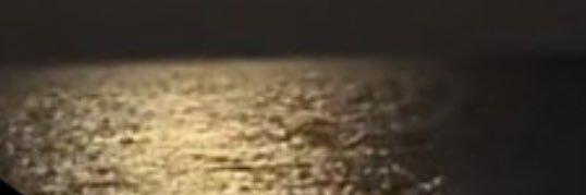 فيصل banner