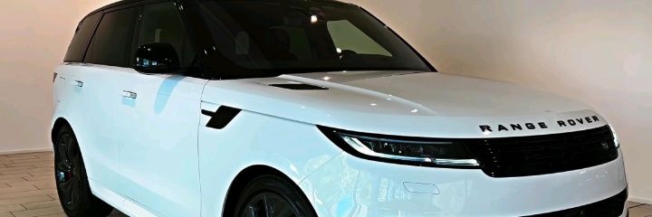 Rena reigns 🏩 banner