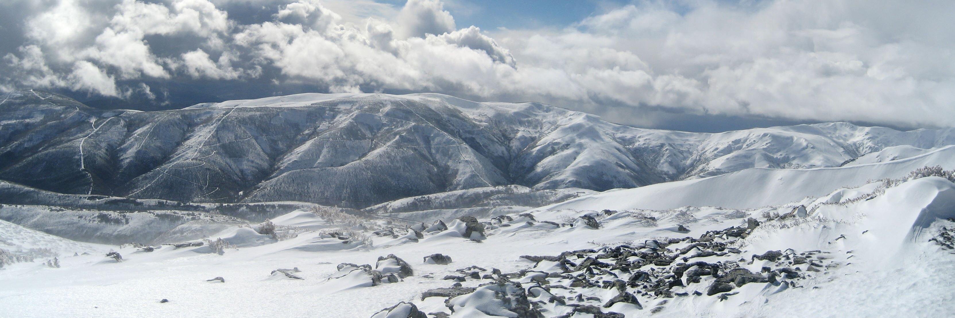 cebreiro's profile banner image