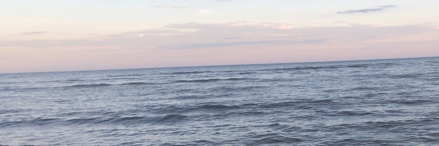 georgialaforme's profile banner image