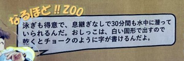 mtchagagin_T Profile Banner