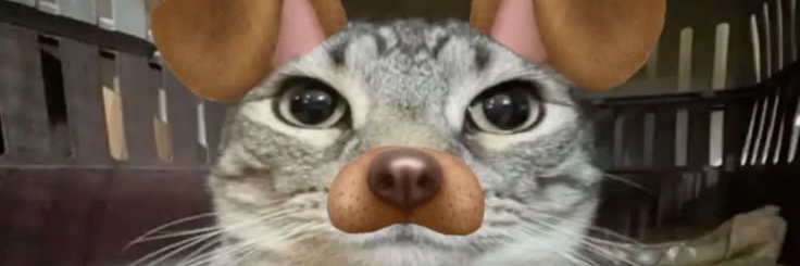 Kinwika's profile banner image