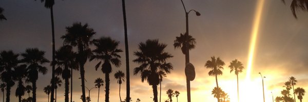 LilyZou1 Profile Banner