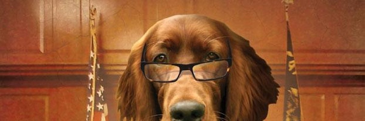 AnimalDDA's profile banner image