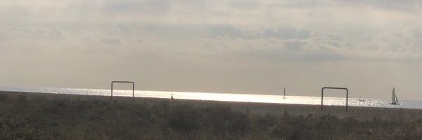 moillorens Profile Banner
