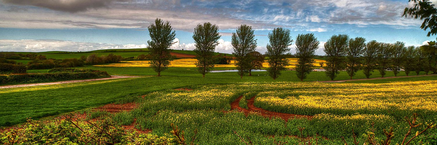 Valencia Gladstone banner