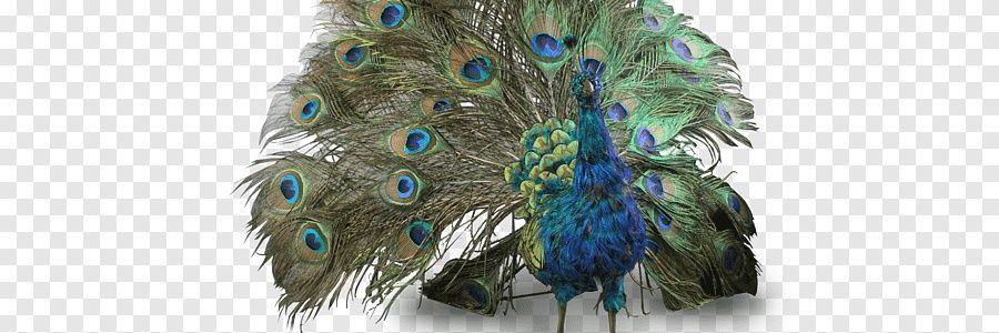 takemic76226280's profile banner image