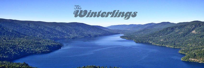TheWinterlings's profile banner image