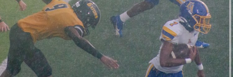 Daverion Davis banner