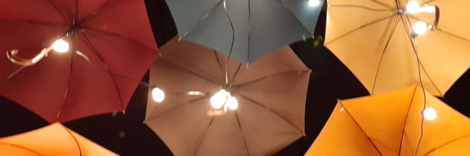 isadoraDDS's profile banner image