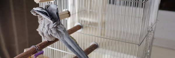 _ktnyt Profile Banner