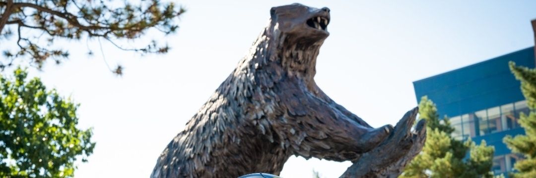 AmericanBoro's profile banner image