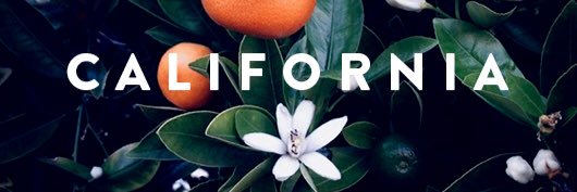 SarahAgee18's profile banner image