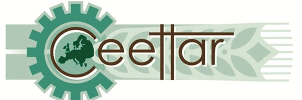 ceettar Profile Banner