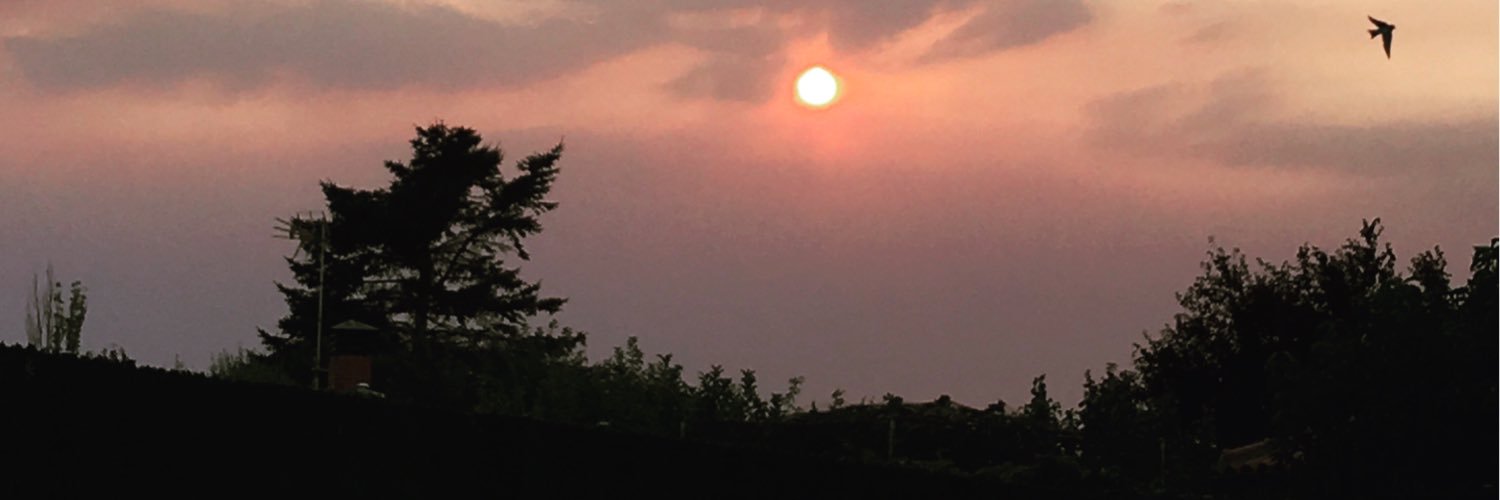 bgarrotec's profile banner image