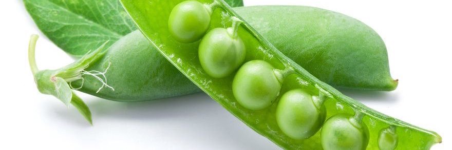 pea0826's profile banner image