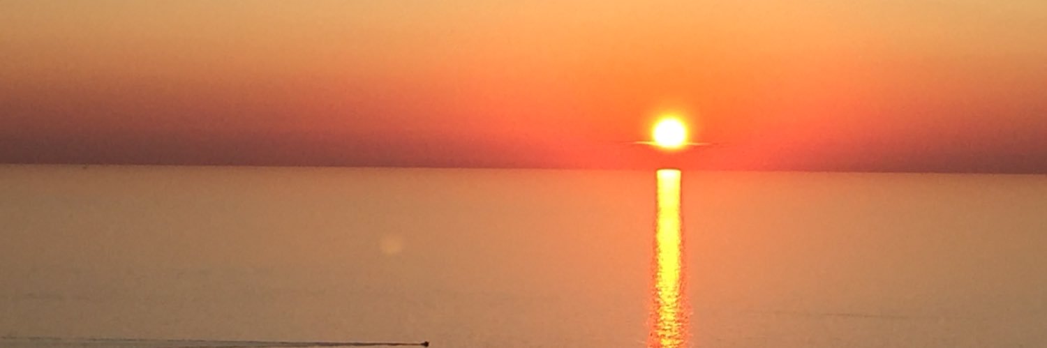 FannyAmbroise's profile banner image