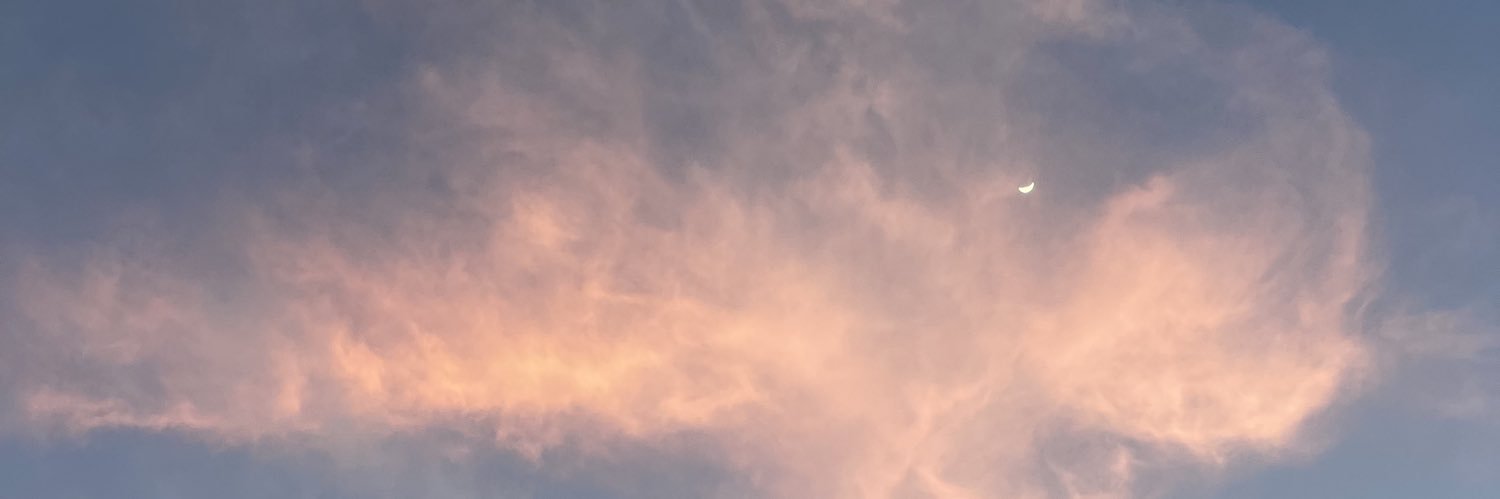 xo_arlo banner