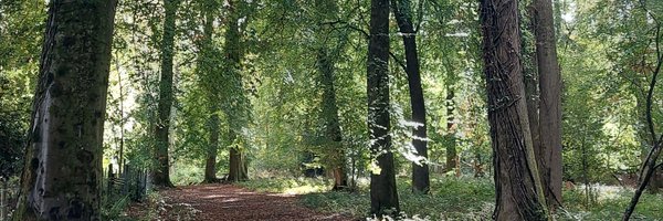csheppardwrites Profile Banner