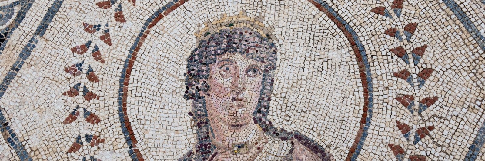 Fernando Panea banner