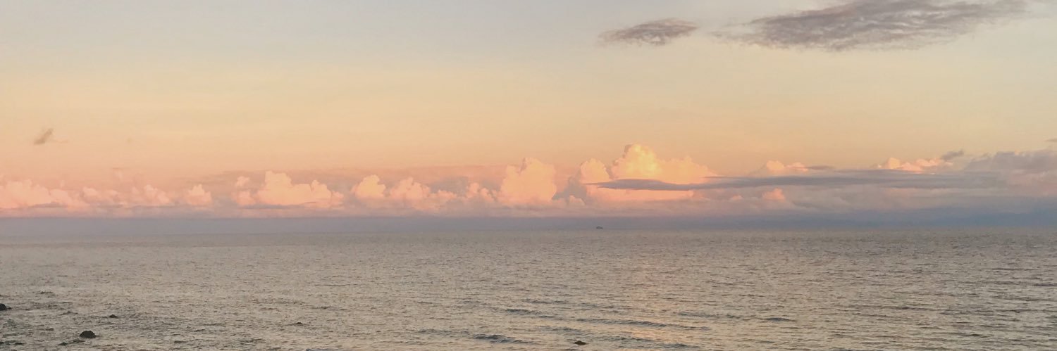 dreamofhowyou_'s profile banner image