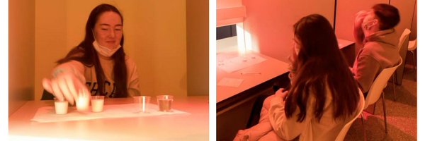 UCDFoodScience Profile Banner