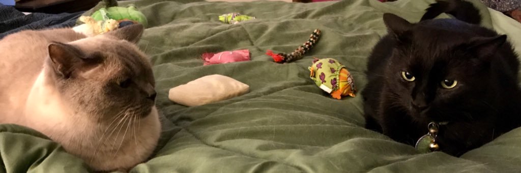 mjasonisk's profile banner image
