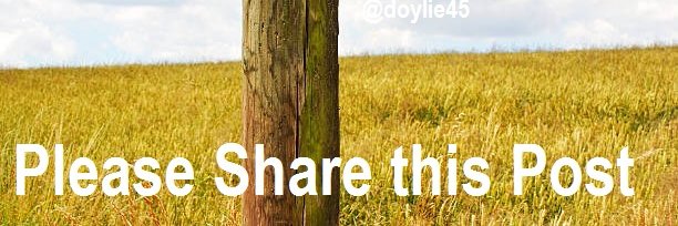 doylie45's profile banner image