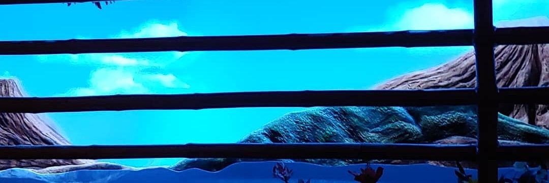 Insanitiki's profile banner image