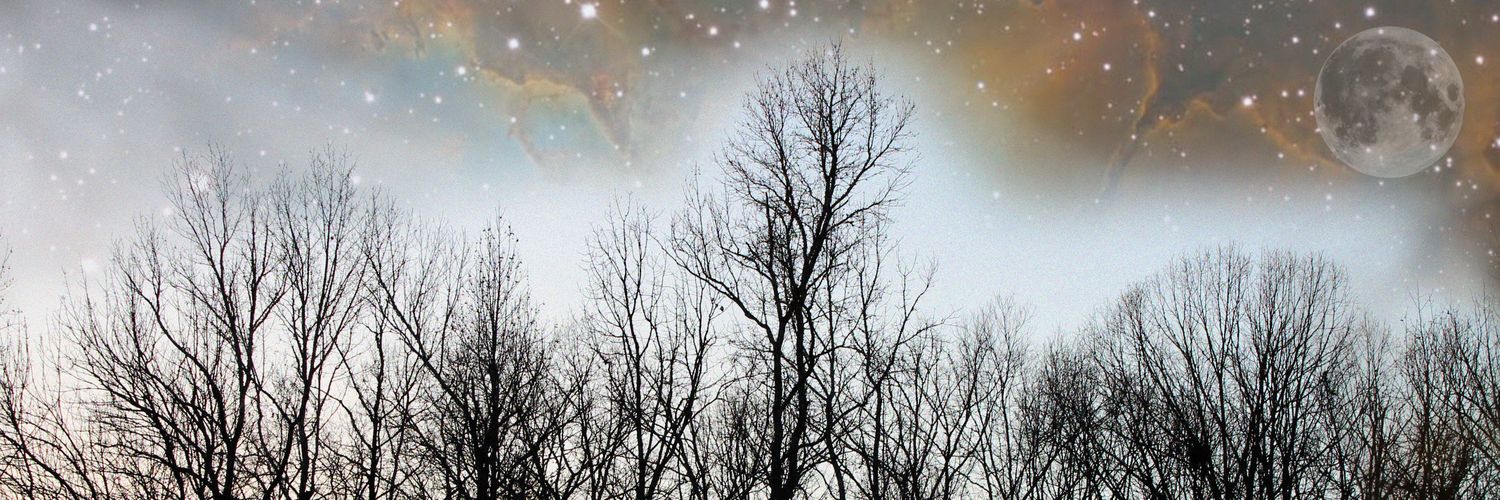 ash_letts's profile banner image