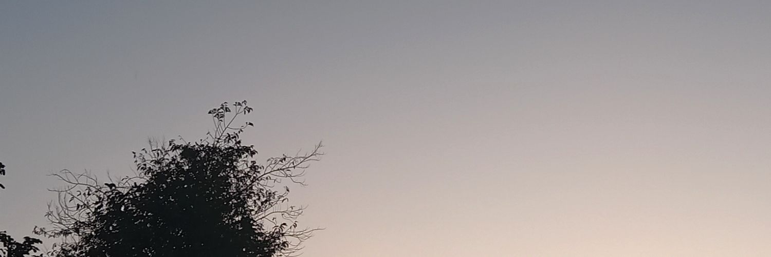 salmon banner