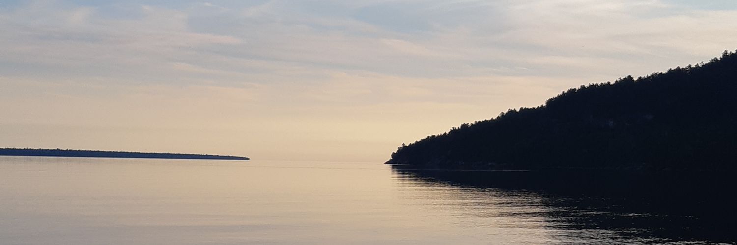 wingslions's profile banner image