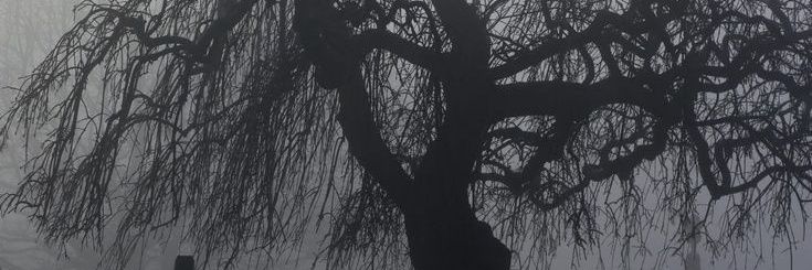 _seeug0z's profile banner image