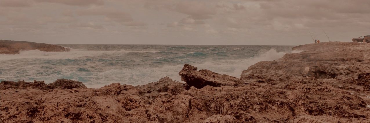 coldlattays's profile banner image