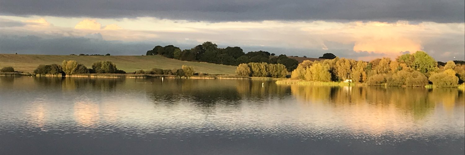 The Birds of Wintersett banner