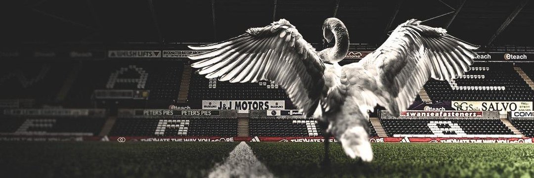 Al 🦢⚽️🏴󠁧󠁢󠁷󠁬󠁳󠁿 banner