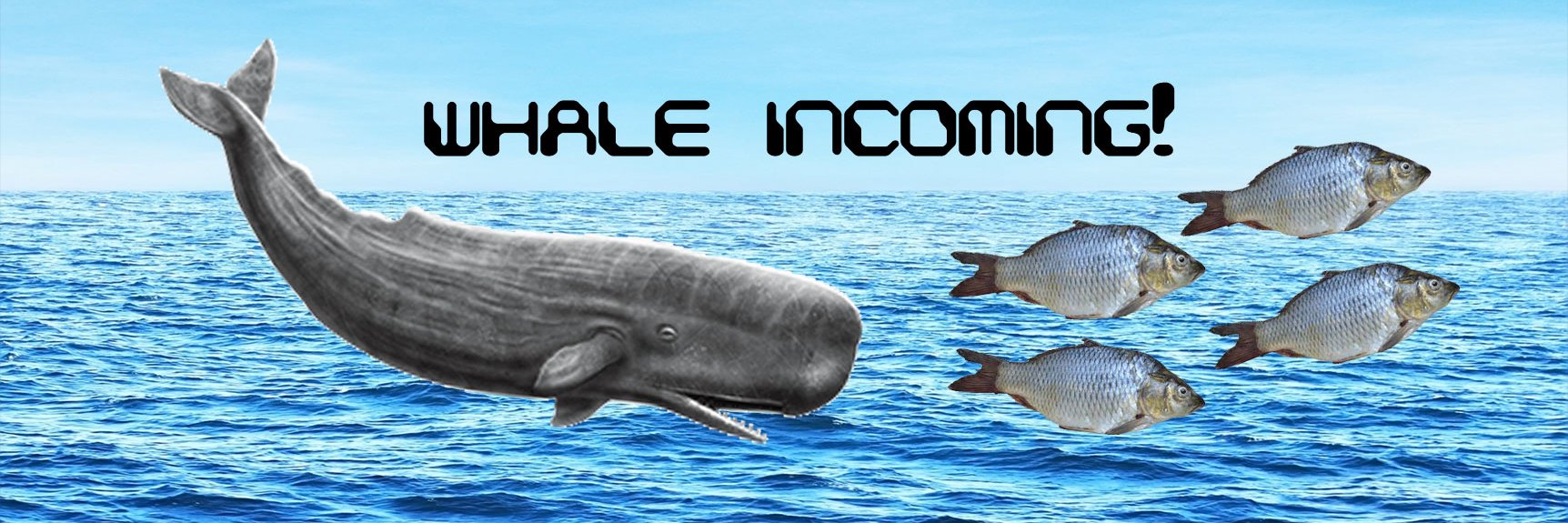 cem1000's profile banner image