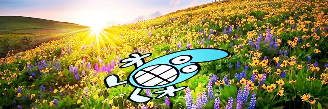 n0ki's banner