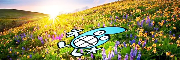 skehwey Profile Banner