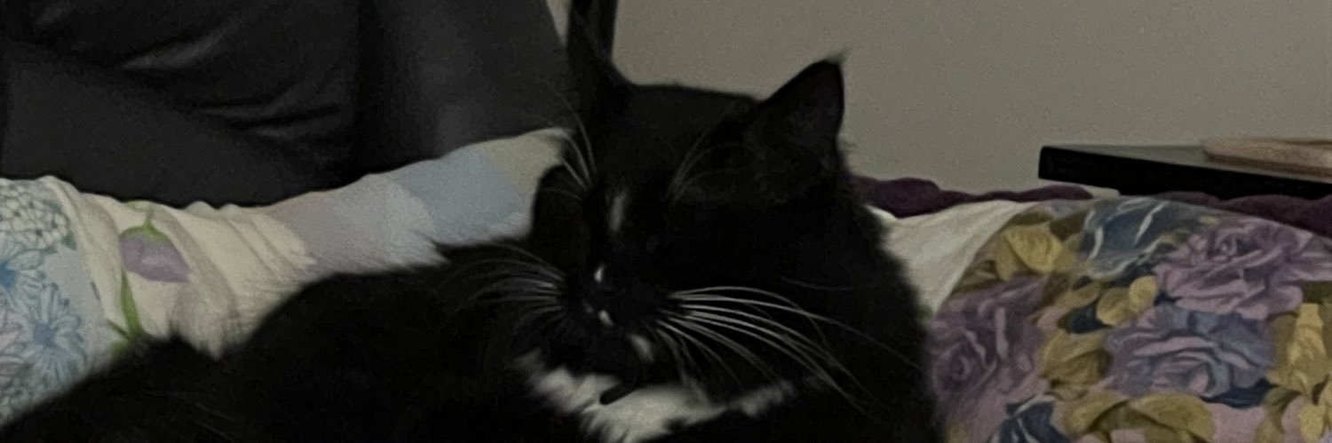 lexidoland13's profile banner image