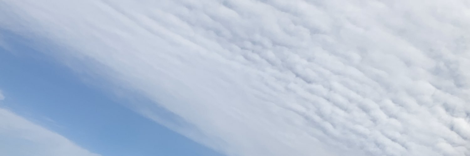 Quofibrew's profile banner image